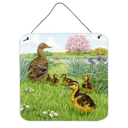 Mallard & Ducklings By Sarah Adams Wall Or Door Hanging Prints